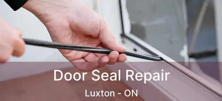  Door Seal Repair Luxton - ON