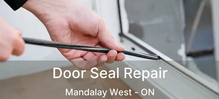  Door Seal Repair Mandalay West - ON