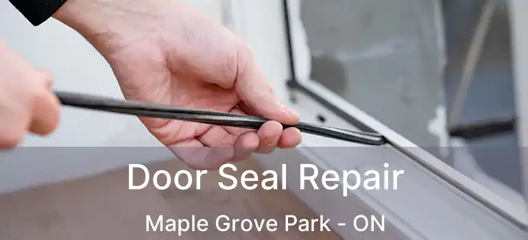  Door Seal Repair Maple Grove Park - ON