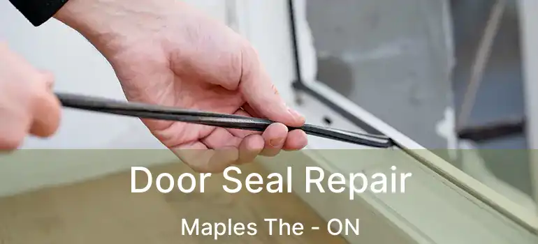  Door Seal Repair Maples The - ON