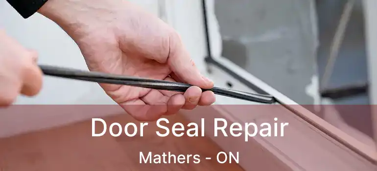  Door Seal Repair Mathers - ON