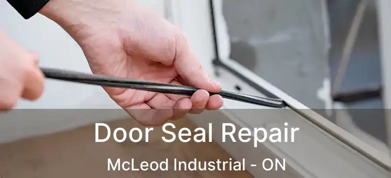  Door Seal Repair McLeod Industrial - ON