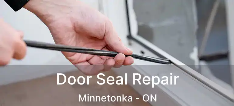  Door Seal Repair Minnetonka - ON