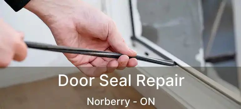  Door Seal Repair Norberry - ON