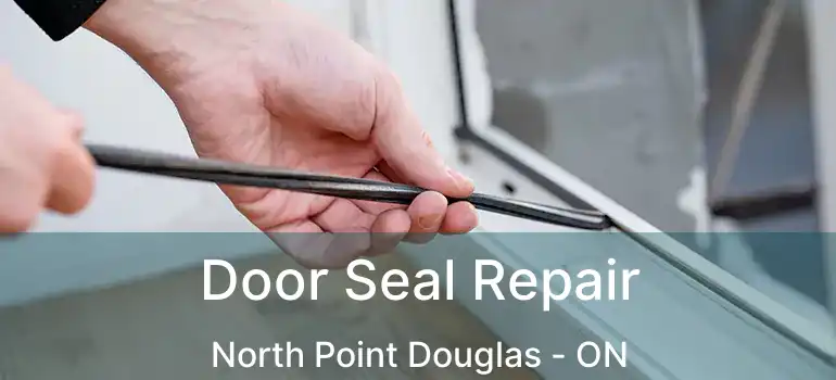  Door Seal Repair North Point Douglas - ON