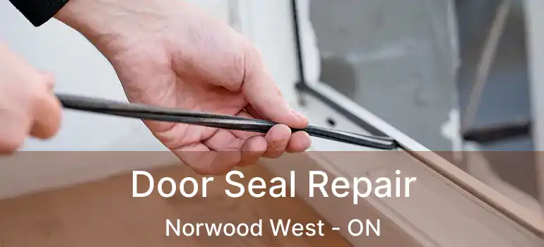  Door Seal Repair Norwood West - ON