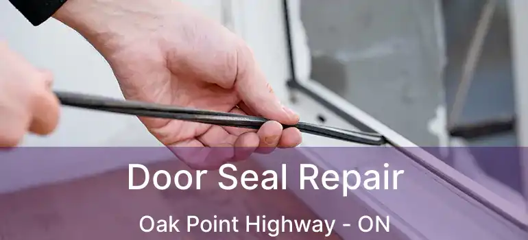  Door Seal Repair Oak Point Highway - ON