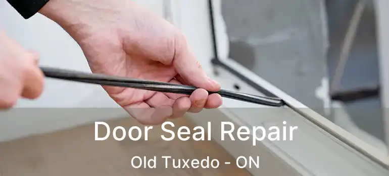  Door Seal Repair Old Tuxedo - ON