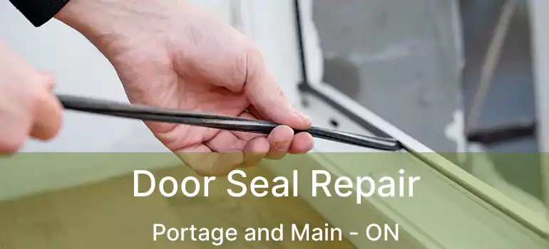  Door Seal Repair Portage and Main - ON