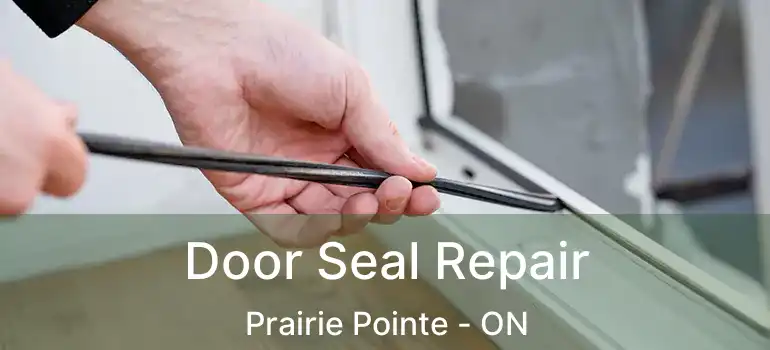  Door Seal Repair Prairie Pointe - ON