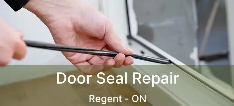  Door Seal Repair Regent - ON