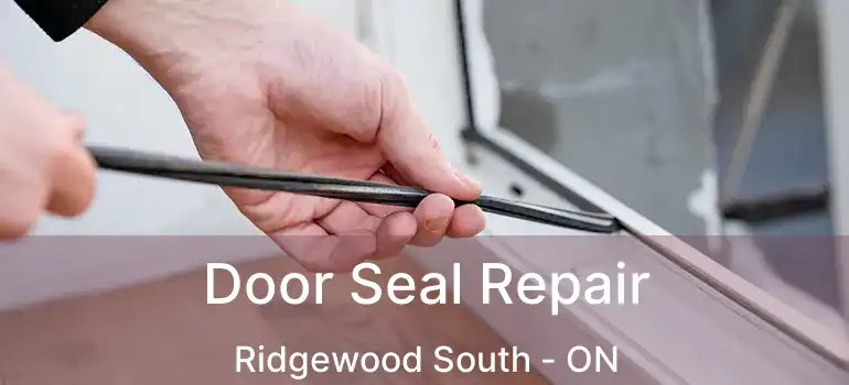  Door Seal Repair Ridgewood South - ON