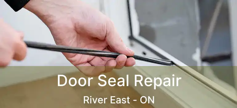  Door Seal Repair River East - ON