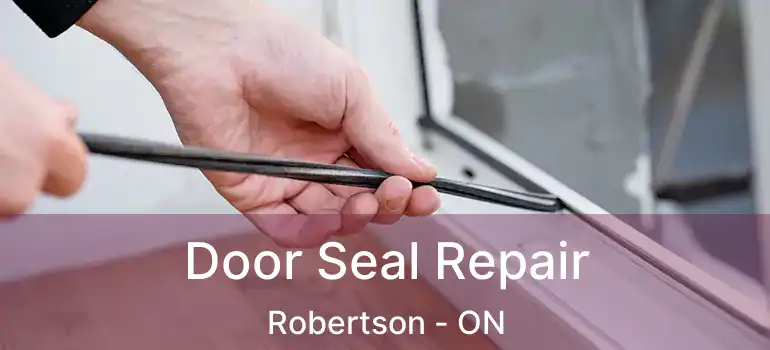  Door Seal Repair Robertson - ON