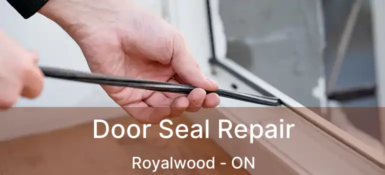  Door Seal Repair Royalwood - ON