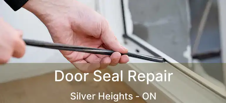  Door Seal Repair Silver Heights - ON