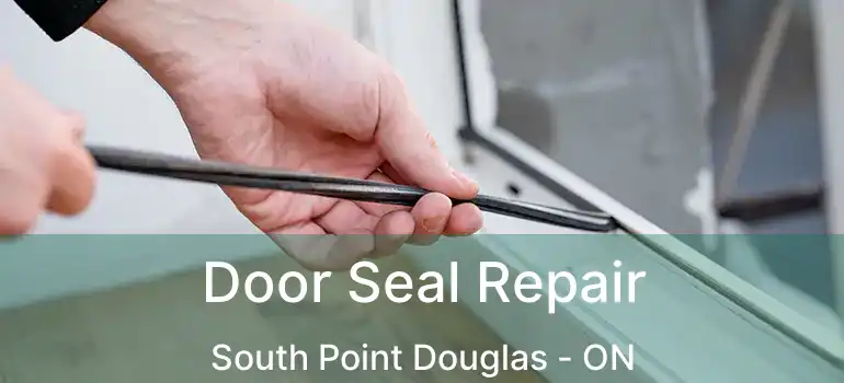  Door Seal Repair South Point Douglas - ON