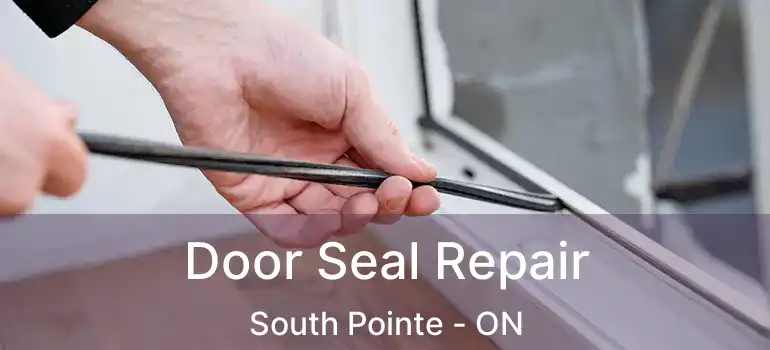  Door Seal Repair South Pointe - ON