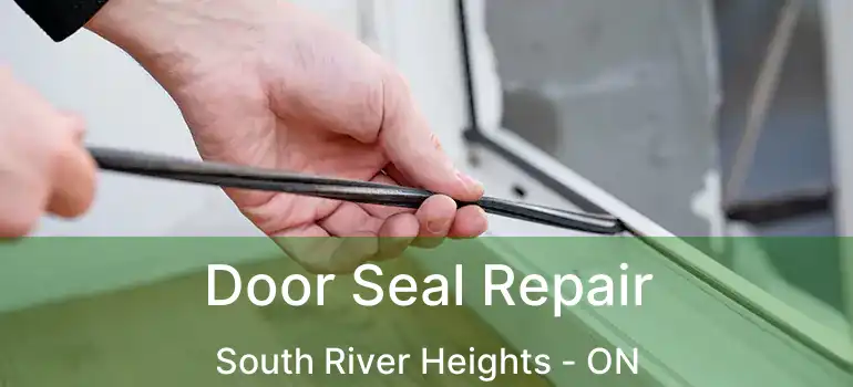  Door Seal Repair South River Heights - ON