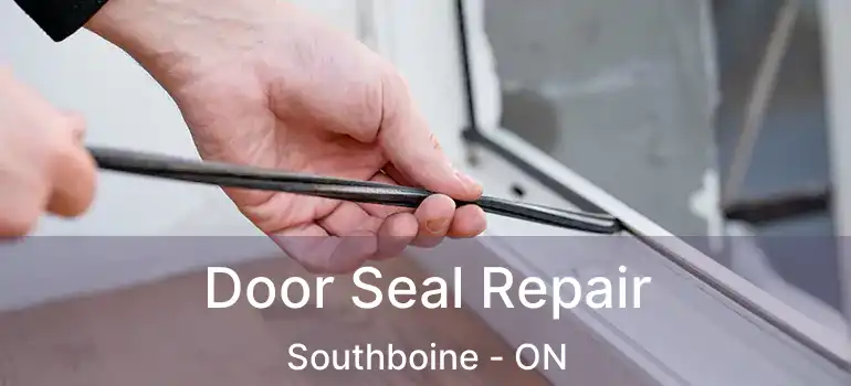  Door Seal Repair Southboine - ON