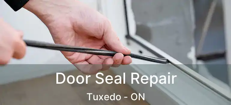  Door Seal Repair Tuxedo - ON