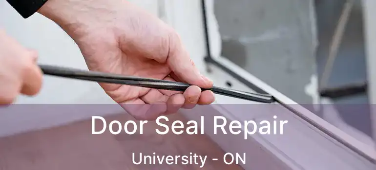  Door Seal Repair University - ON