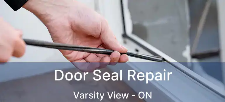  Door Seal Repair Varsity View - ON