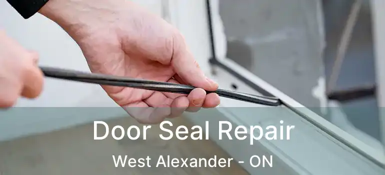  Door Seal Repair West Alexander - ON