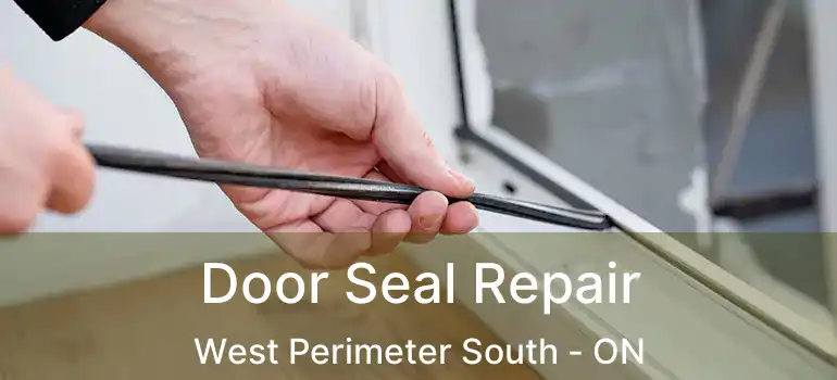  Door Seal Repair West Perimeter South - ON