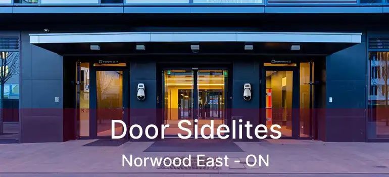  Door Sidelites Norwood East - ON