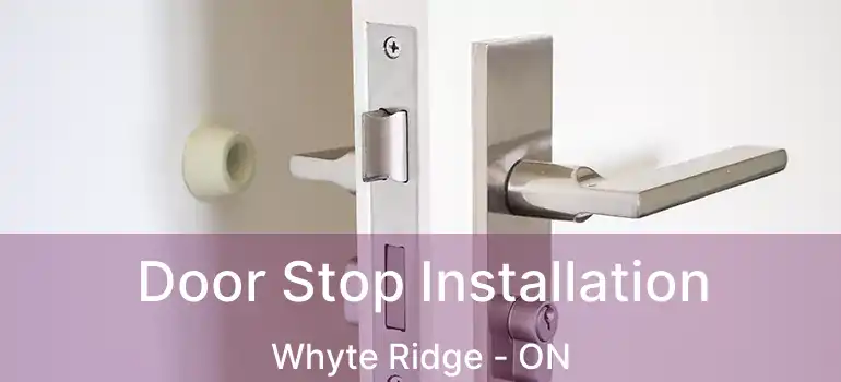  Door Stop Installation Whyte Ridge - ON
