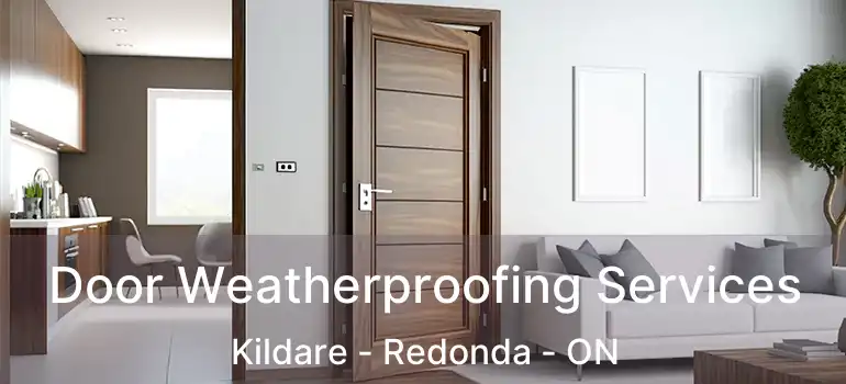 Door Weatherproofing Services Kildare - Redonda - ON