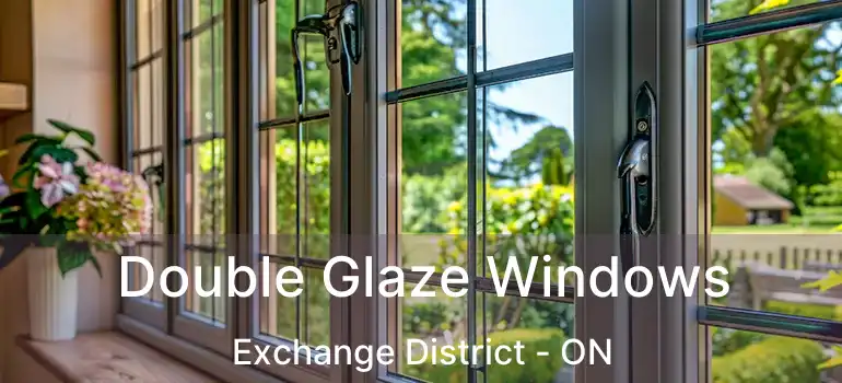 Double Glaze Windows Exchange District - ON