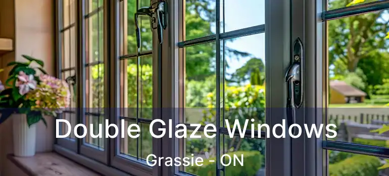  Double Glaze Windows Grassie - ON