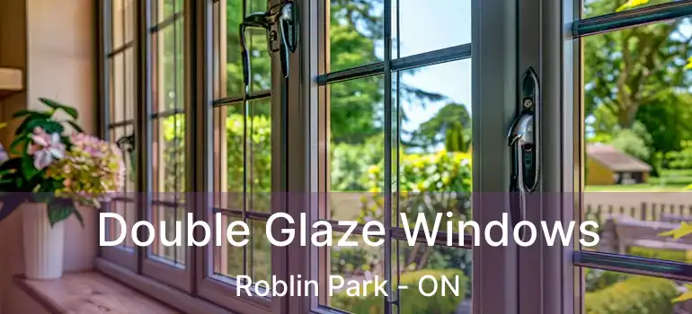  Double Glaze Windows Roblin Park - ON
