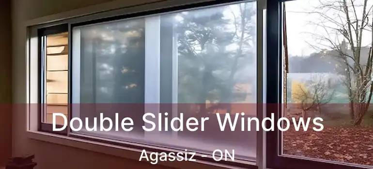  Double Slider Windows Agassiz - ON