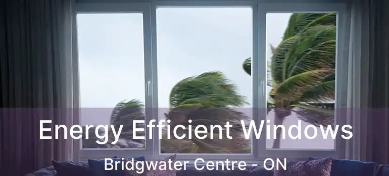  Energy Efficient Windows Bridgwater Centre - ON