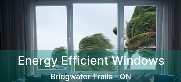  Energy Efficient Windows Bridgwater Trails - ON