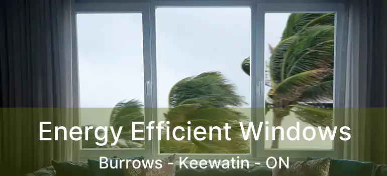  Energy Efficient Windows Burrows - Keewatin - ON