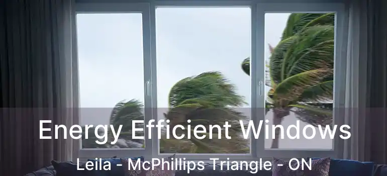 Energy Efficient Windows Leila - McPhillips Triangle - ON