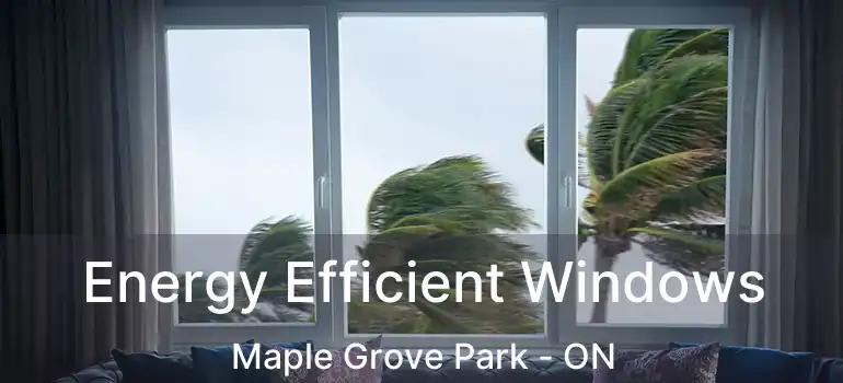  Energy Efficient Windows Maple Grove Park - ON