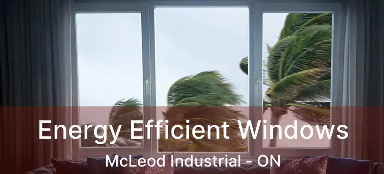  Energy Efficient Windows McLeod Industrial - ON