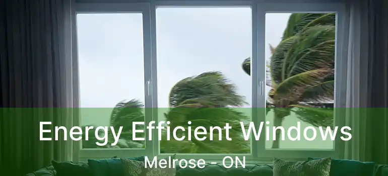  Energy Efficient Windows Melrose - ON