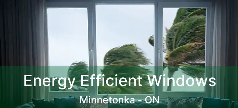  Energy Efficient Windows Minnetonka - ON