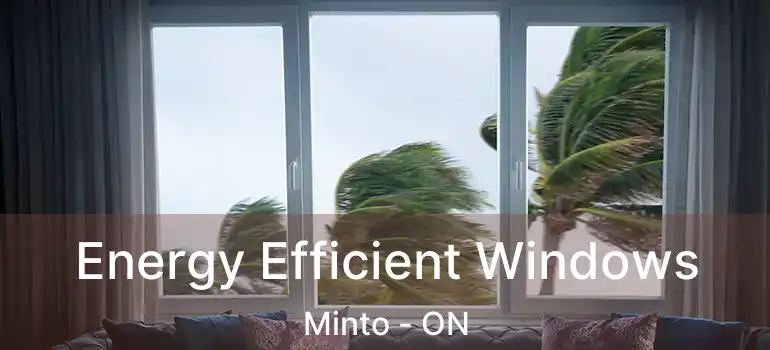  Energy Efficient Windows Minto - ON