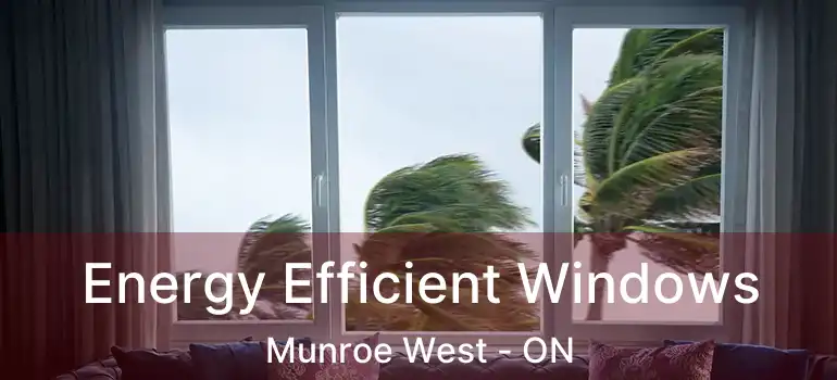  Energy Efficient Windows Munroe West - ON