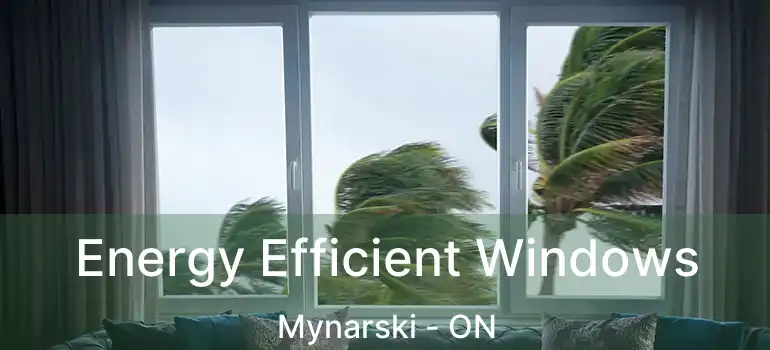  Energy Efficient Windows Mynarski - ON