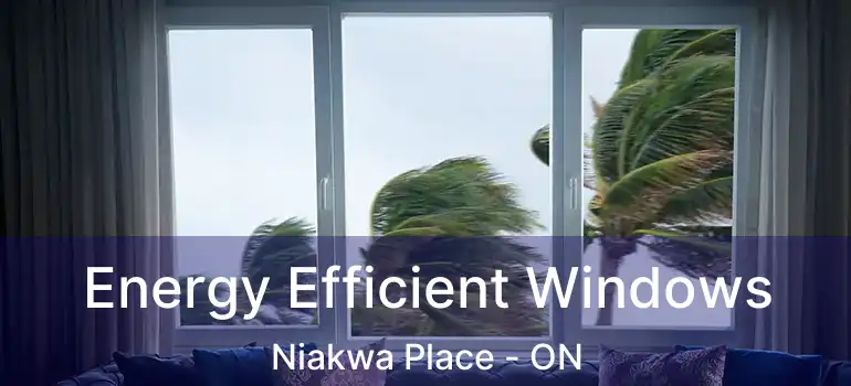  Energy Efficient Windows Niakwa Place - ON