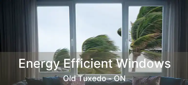  Energy Efficient Windows Old Tuxedo - ON