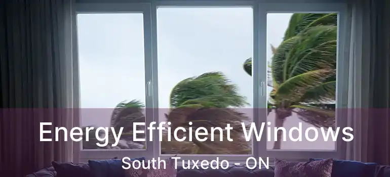  Energy Efficient Windows South Tuxedo - ON